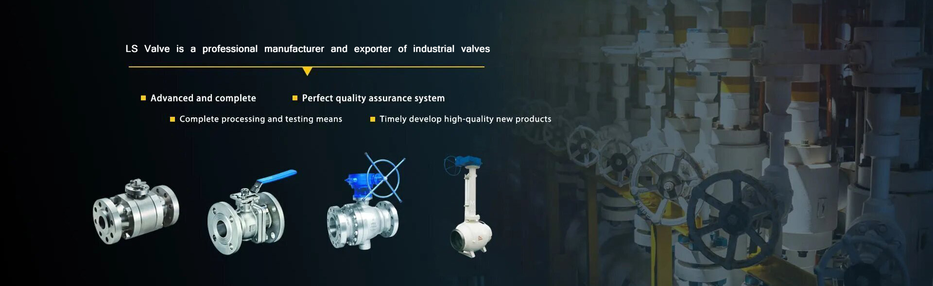 ls valve